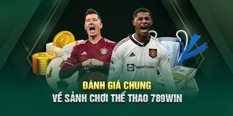 Đánh giá chung về sân chơi 789win